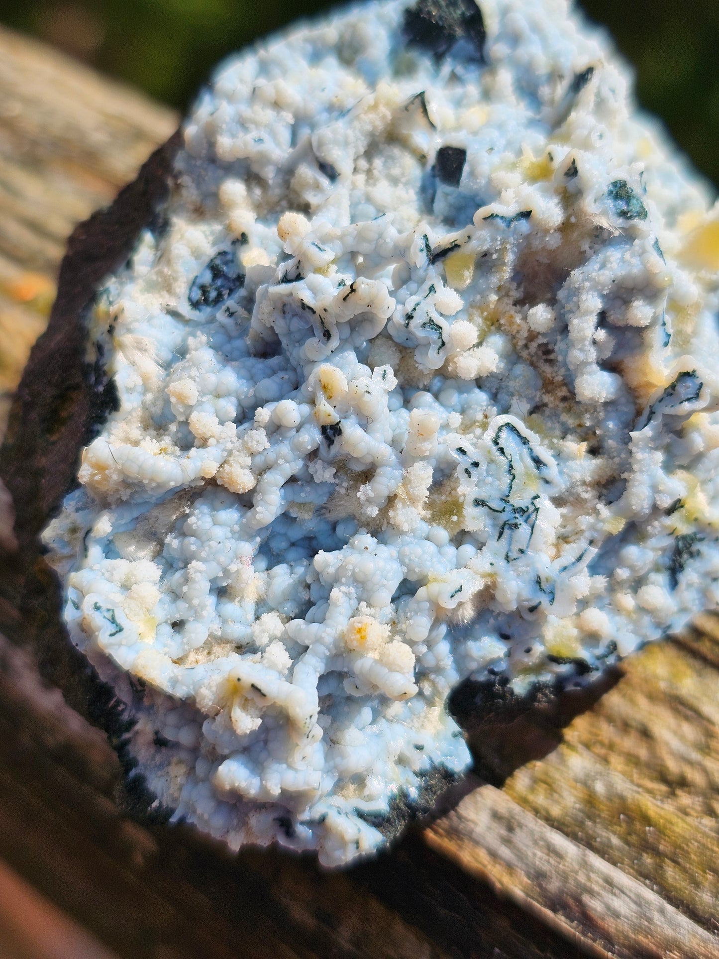 Calcédoine corail bleu avec Okénite, calcite et agate mousse CC18