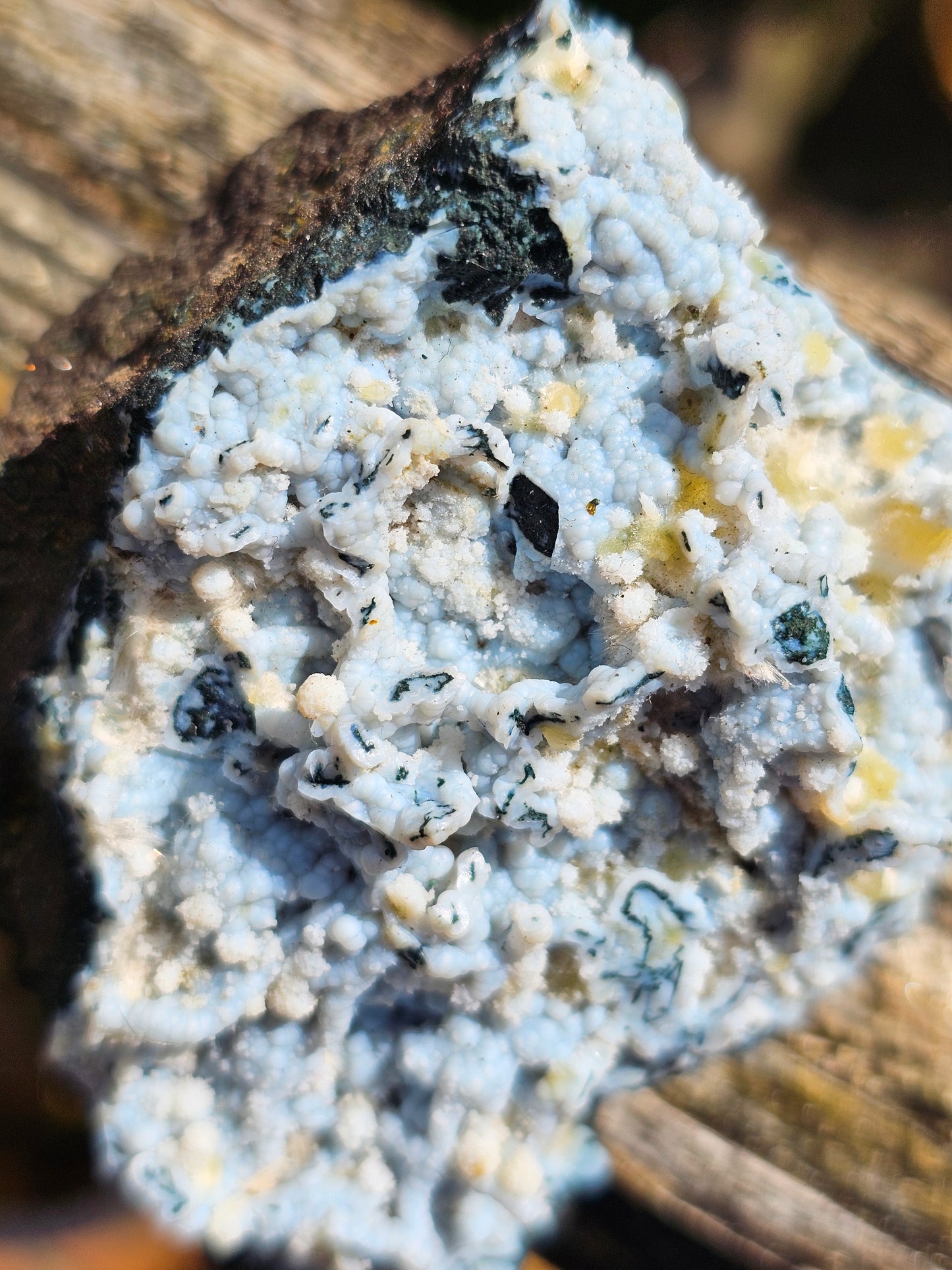 Calcédoine corail bleu avec Okénite, calcite et agate mousse CC18