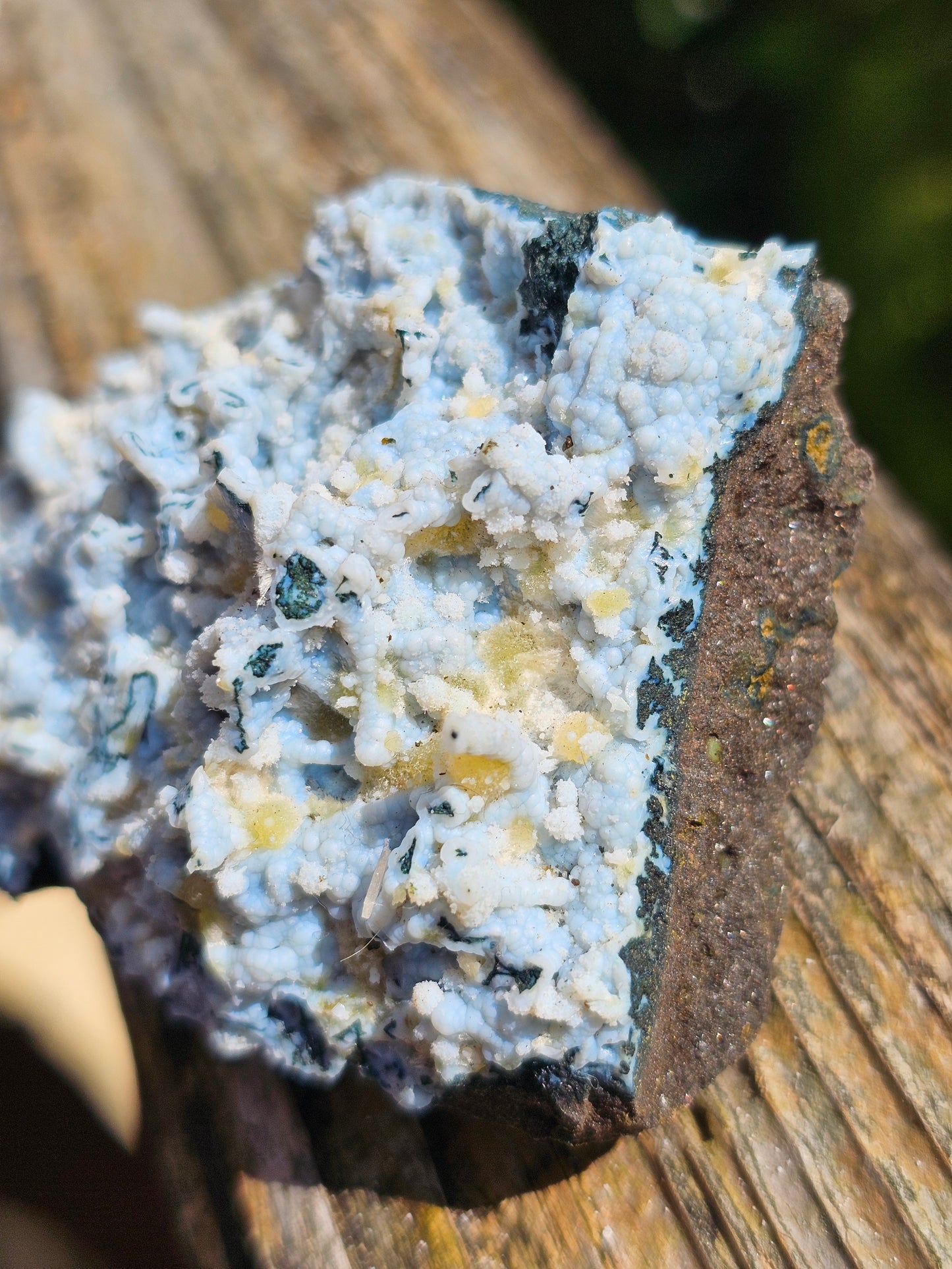 Calcédoine corail bleu avec Okénite, calcite et agate mousse CC18