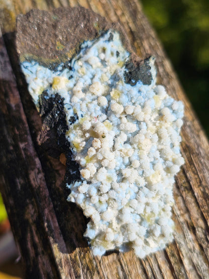 Calcédoine corail bleu avec Okénite et calcite CC21