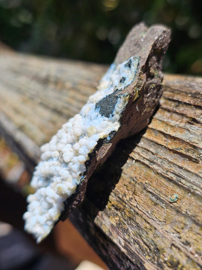 Calcédoine corail bleu avec Okénite et calcite CC21