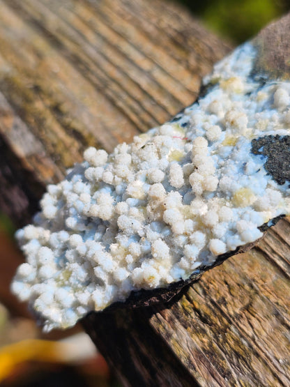 Calcédoine corail bleu avec Okénite et calcite CC21