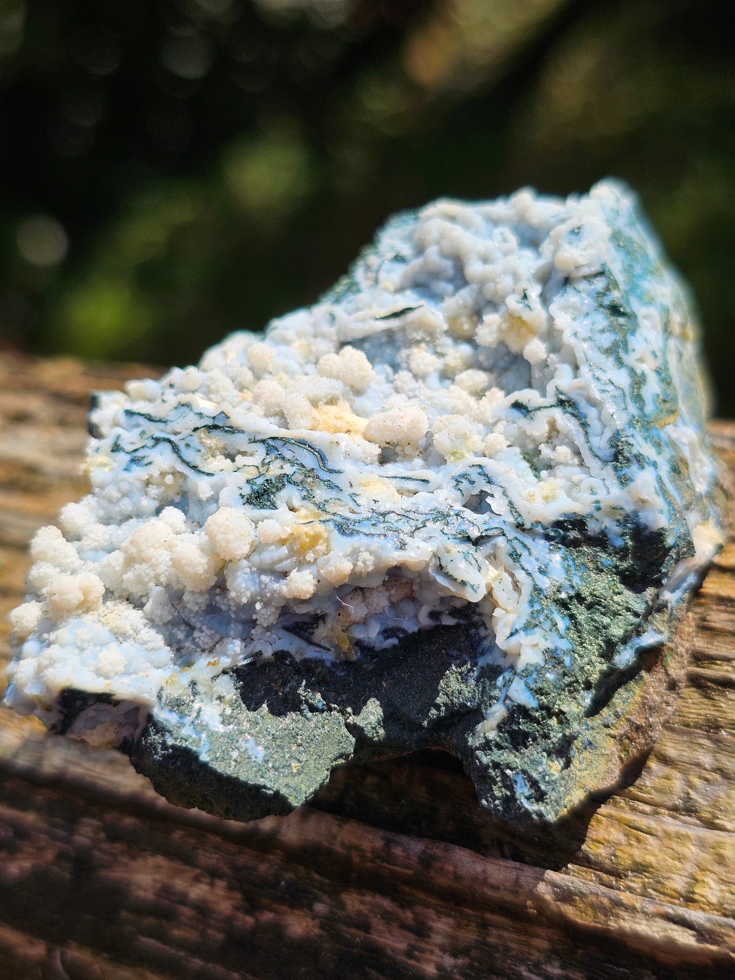 Calcédoine corail bleu avec Okénite, calcite et agate mousse CC22