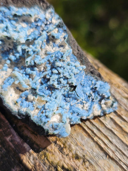 Calcédoine corail bleu avec Okénite et calcite CC24