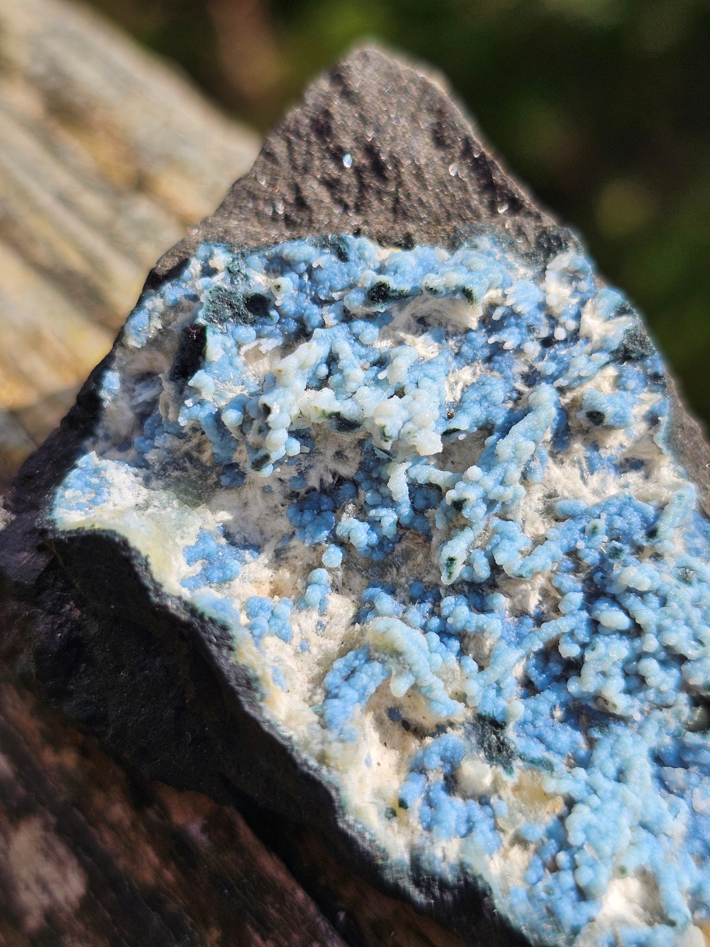 Calcédoine corail bleu avec Okénite et calcite CC24