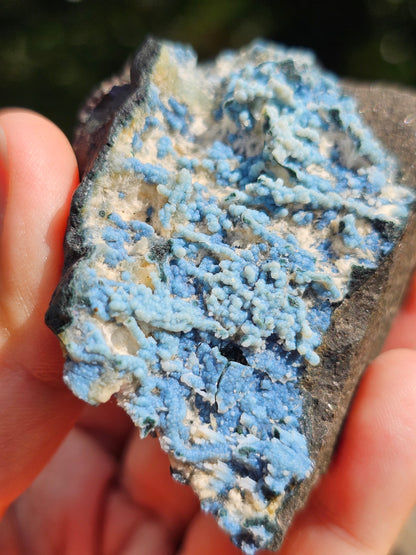 Calcédoine corail bleu avec Okénite et calcite CC24