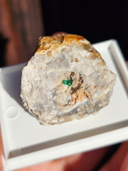 Variscite cristallisée du Brésil V20