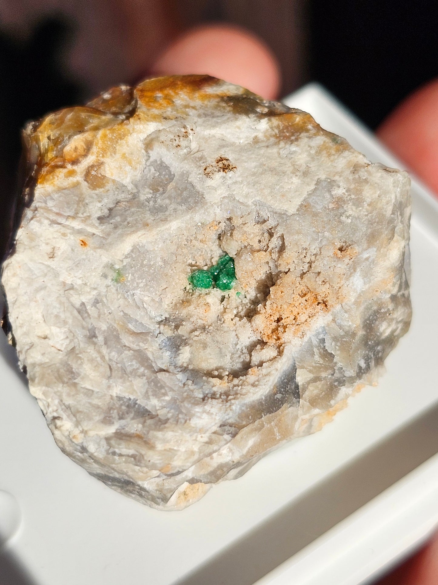 Variscite cristallisée du Brésil V20