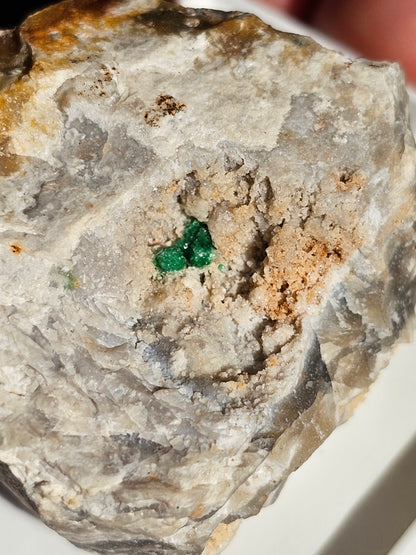 Variscite cristallisée du Brésil V20