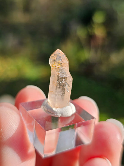 Quartz pétrole sceptre B (réactif aux UV)