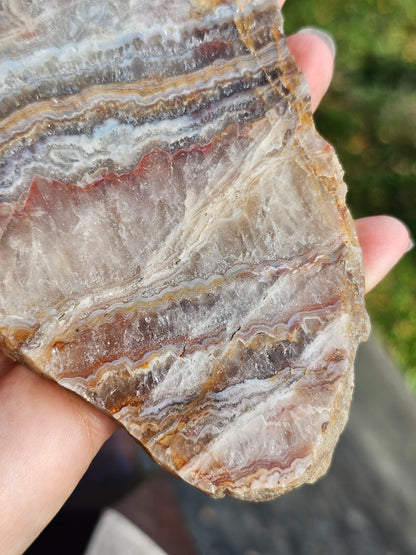 Sciage d'Agate du Tarn C