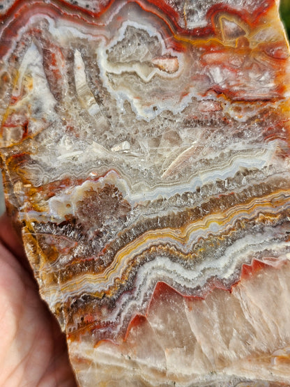 Sciage d'Agate du Tarn C