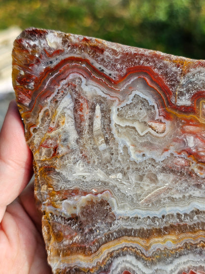 Sciage d'Agate du Tarn C