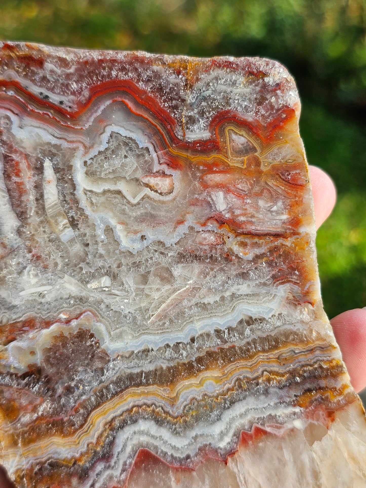 Sciage d'Agate du Tarn C