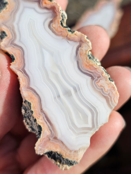 Géode Agate entière du Maroc K