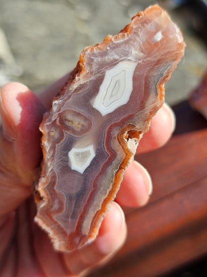 Géode Agate entière du Maroc L