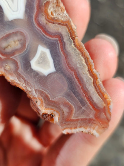 Géode Agate entière du Maroc L