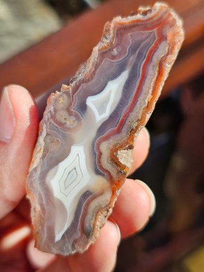 Géode Agate entière du Maroc L