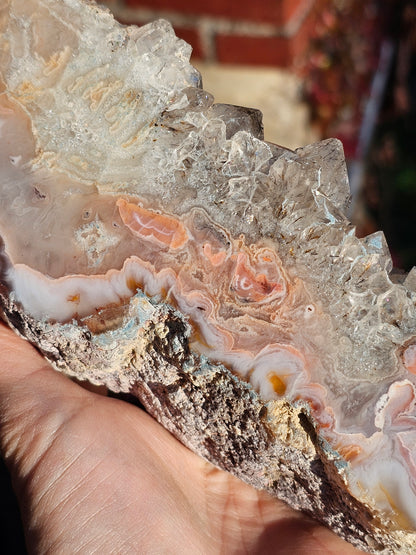 Magnifique Sciage d'Agate du Tarn N