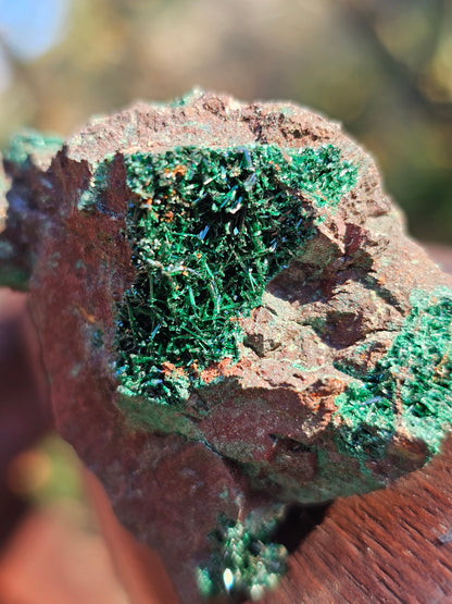 Malachite du Maroc n°1