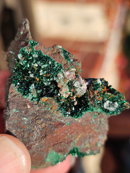 Malachite du Maroc n°1