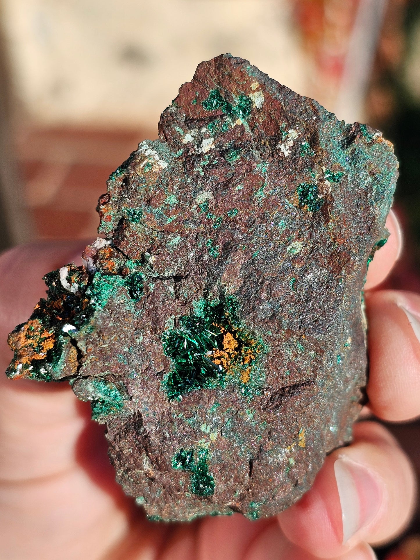 Malachite du Maroc n°1