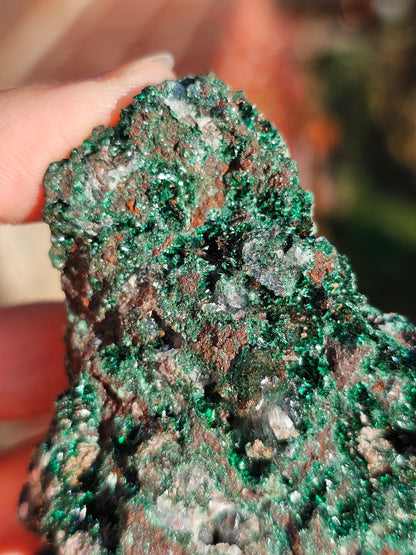 Malachite du Maroc n°2