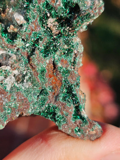 Malachite du Maroc n°2