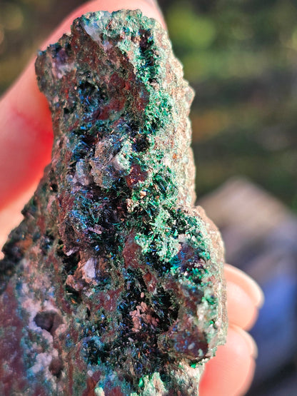 Malachite du Maroc n°2