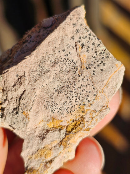 Vanadinite du Maroc n°2