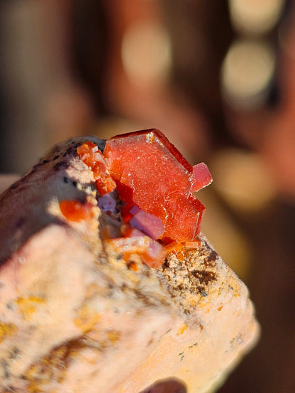 Vanadinite du Maroc n°4