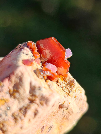 Vanadinite du Maroc n°4