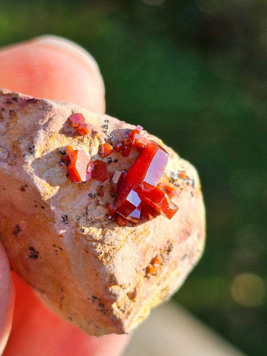 Vanadinite du Maroc n°4