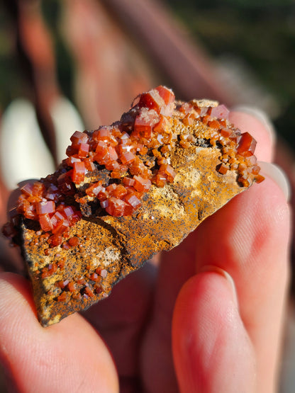 Vanadinite du Maroc n°5