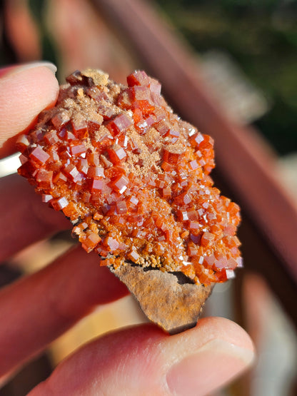 Vanadinite du Maroc n°5