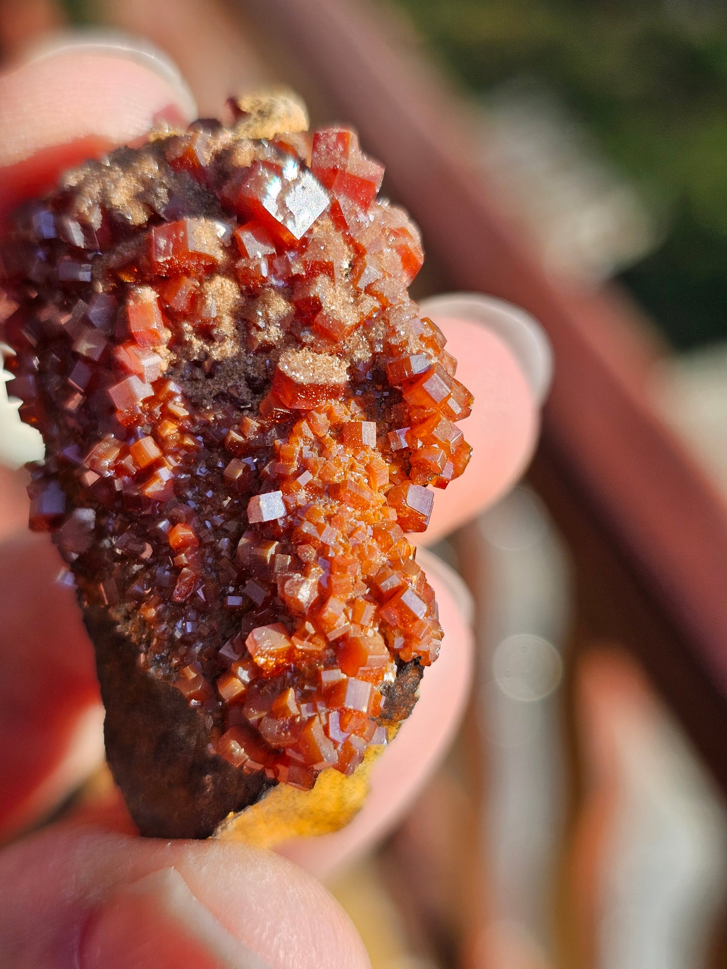 Vanadinite du Maroc n°5