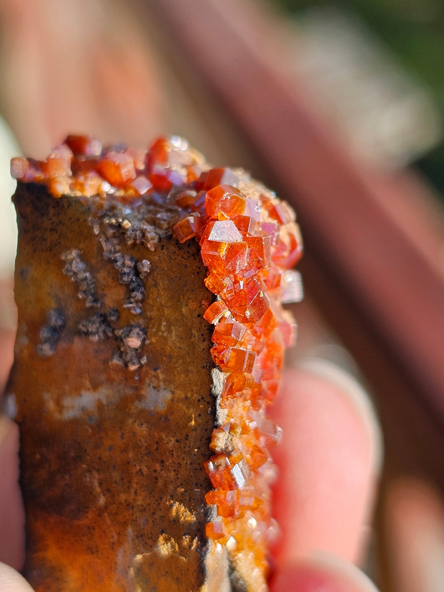 Vanadinite du Maroc n°5