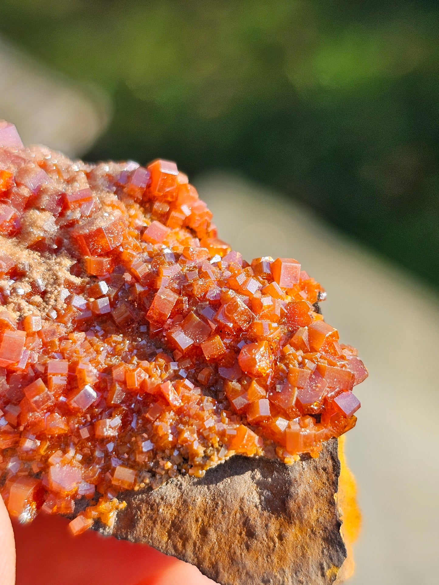 Vanadinite du Maroc n°5