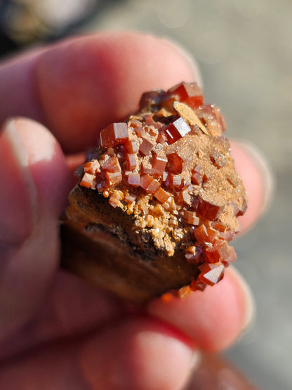 Vanadinite du Maroc n°5