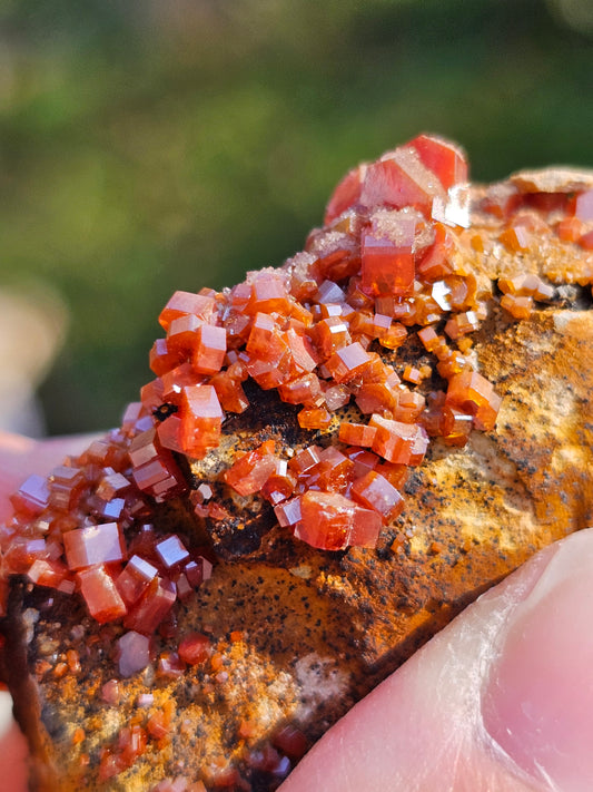 Vanadinite du Maroc n°5