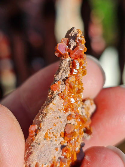 Vanadinite du Maroc n°6