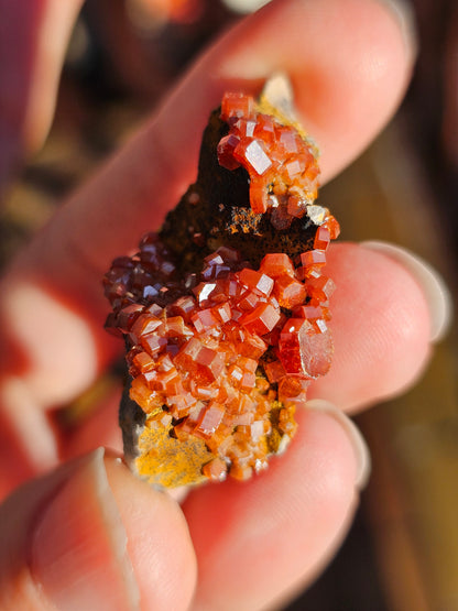 Vanadinite du Maroc n°7