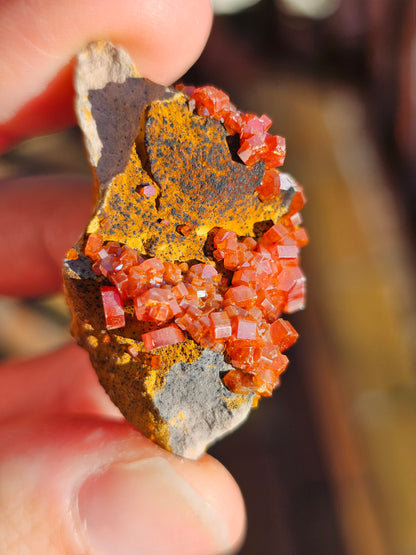 Vanadinite du Maroc n°7