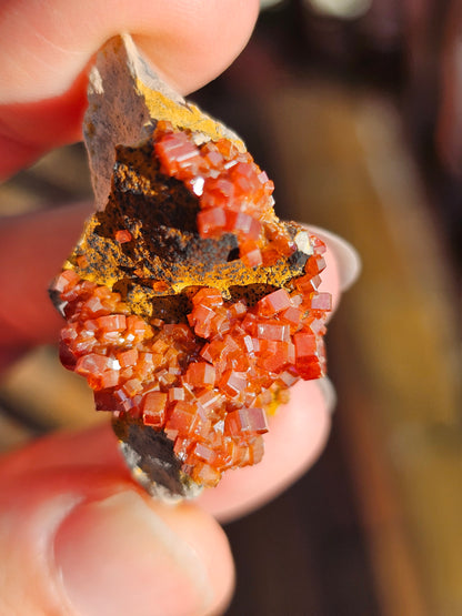 Vanadinite du Maroc n°7