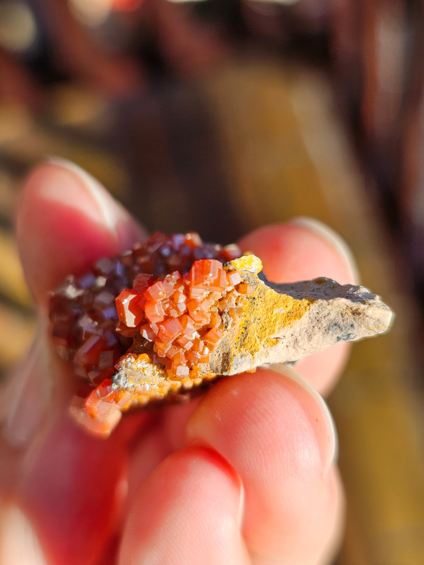 Vanadinite du Maroc n°7