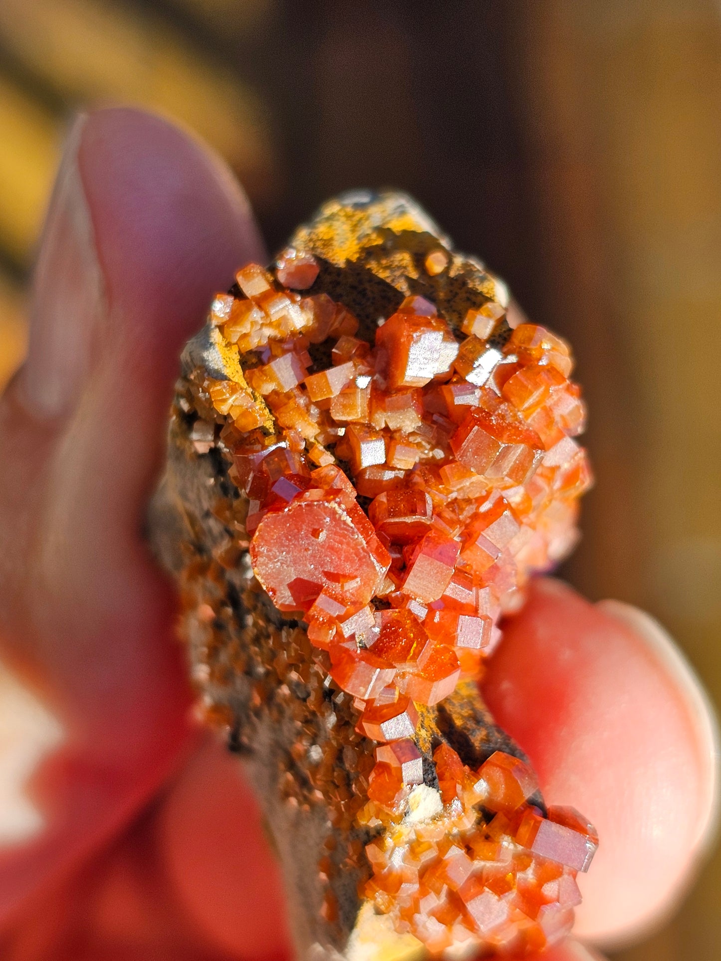 Vanadinite du Maroc n°7