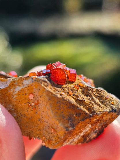 Vanadinite du Maroc n°7