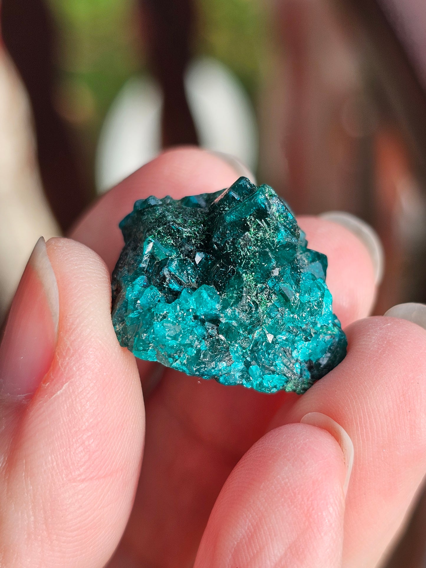 Coffret d'exception Dioptase