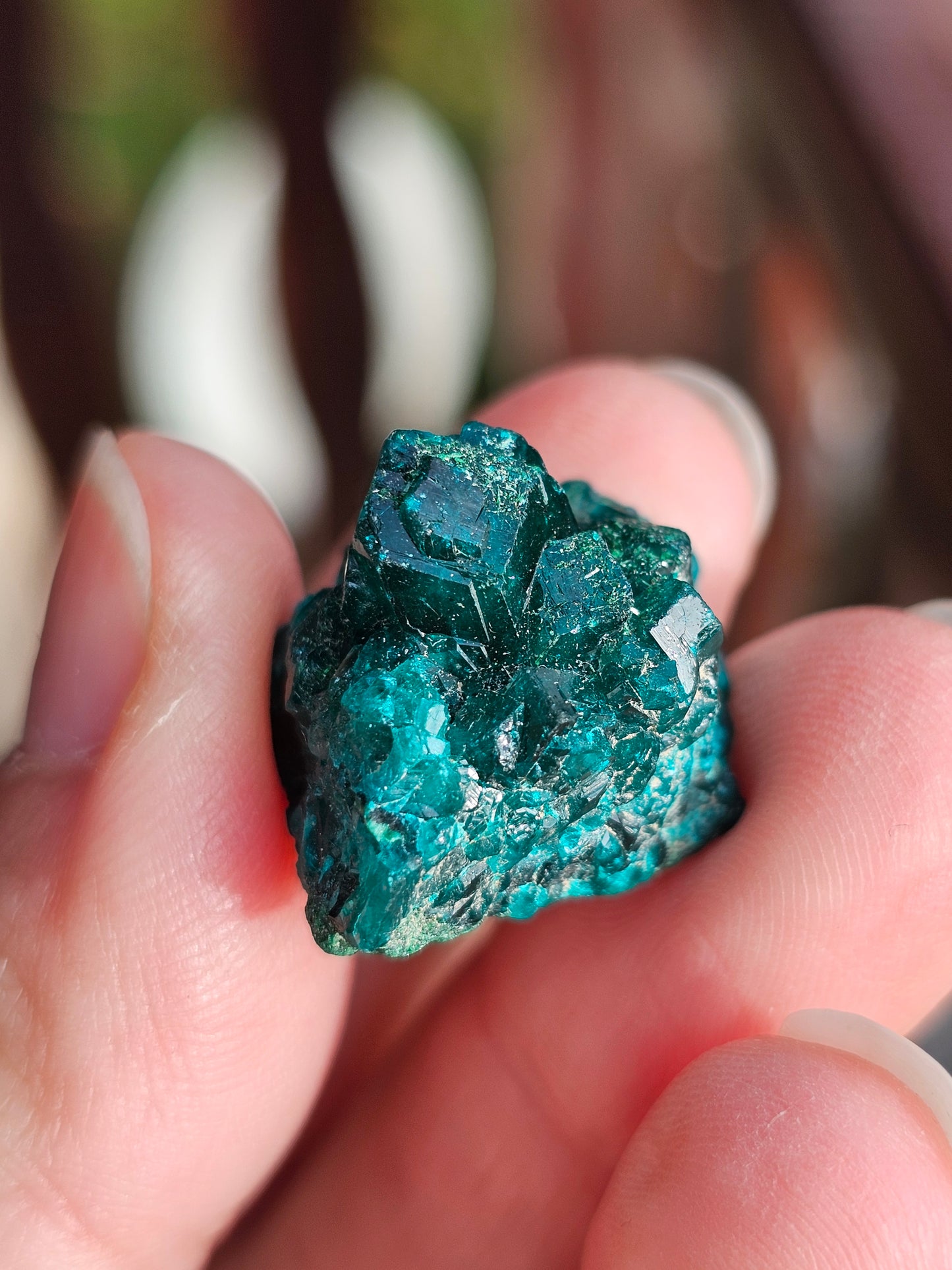 Coffret d'exception Dioptase