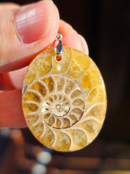 Pendentif en Ammonite